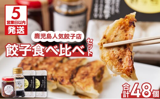 【5営業日以内に発送】鹿児島人気餃子店のお得な餃子食べ比べセット K118-001