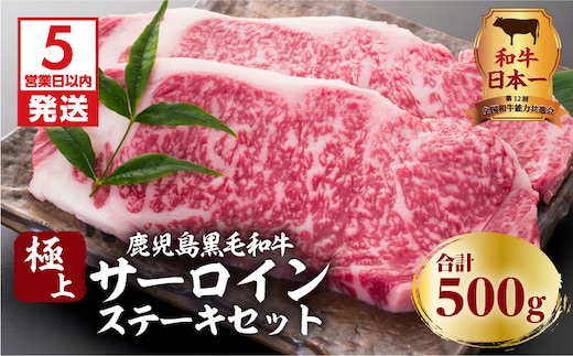 【5営業日以内に発送】鹿児島黒毛和牛の極上サーロインステーキセット 500g K134-003