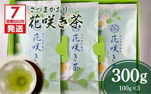 【7営業日以内に発送】さつまかおり 花咲き茶 K115-003