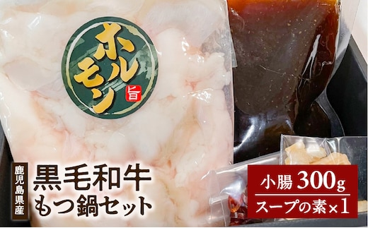 鹿児島県産黒毛和牛もつ鍋セット K328-011