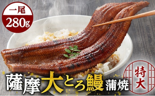 薩摩大とろ鰻蒲焼特大サイズ一尾 K190-002