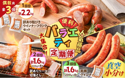【全3回偶数月】バラエティ定期便 K161-T04
