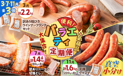 【全3回】バラエティ定期便（3・7・11月お届け） K161-T05