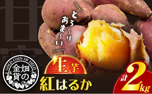 【2025年先行予約】畑の金貨 生芋 紅はるか2kg K181-004