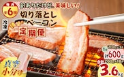 【全6回】切り落としベーコン定期便　K161-T01