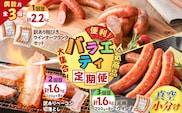 【全3回偶数月】バラエティ定期便　K161-T04