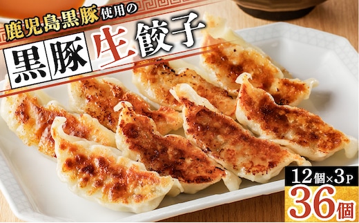 鹿児島黒豚使用の黒豚餃子 36個 K202-001_01