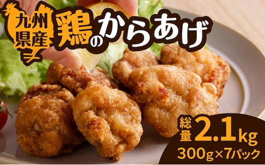 九州県産鶏の唐揚げ K277-002