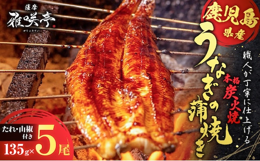 職人が丁寧に仕上げる本格炭火焼 鹿児島県産うなぎの蒲焼き 5尾 K282-001_02