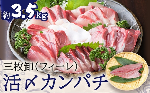 鹿児島県産カンパチ 約3.5kg 三枚卸（フィーレ） 活〆※真空包装 K294-003_02