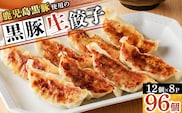 鹿児島黒豚使用の黒豚餃子 96個　K202-001