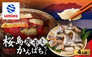 桜島灰干しかんぱち 4人前セット　K255-001_03