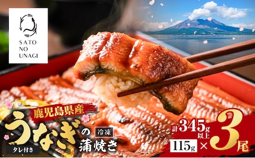 鹿児島県産うなぎ蒲焼 115g×3尾 345g以上 K379-001_01
