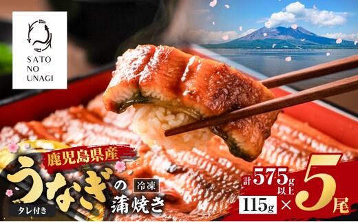 鹿児島県産うなぎ蒲焼 115g×5尾 575g以上 K379-001_02