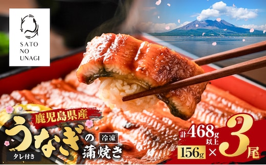 鹿児島県産うなぎ蒲焼 156g×3尾 468g以上 K379-002_01