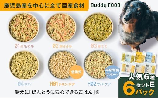 Buddy FOOD 人気6種 セットE K390-001_21