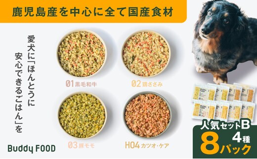 Buddy FOOD 人気セットB 4種8パック K390-003_02