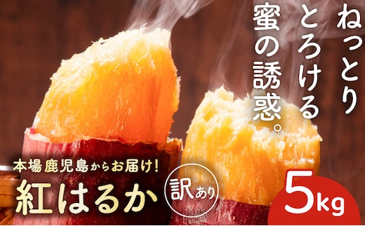 ＜訳あり＞さつま芋（紅はるか）5kg K396-001