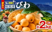 旬の朝採り！ 鹿児島 桜島産びわ 2箱（訳あり品）　K343-002_02