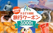鹿児島市に泊まるふるさと納税旅行クーポン【3,000円分】　K349-001_03