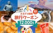 鹿児島市の宿泊のみに使えるふるさと納税旅行クーポン【12,000円分】　K349-002_12