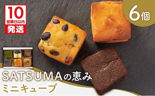 【10営業日以内に発送】SATSUMAの恵み（ミニキューブ） 6個入り K325-001
