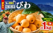 旬の朝採り！ 鹿児島 桜島産びわ 1箱（訳あり品）　K343-002