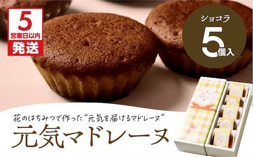 【5営業日以内に発送】元気マドレーヌ ショコラ 5個入り K300-005_02