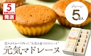 【5営業日以内に発送】元気マドレーヌ プレーン 5個入り　K300-005_01