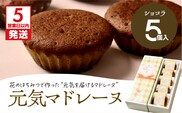 【5営業日以内に発送】元気マドレーヌ ショコラ 5個入り　K300-005_02