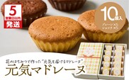【5営業日以内に発送】元気マドレーヌ プレーン 5個・ショコラ 5個　K300-005_03