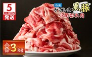 【5営業日以内に発送】かごしま黒豚小間切れ肉 3kgセット　K329-003_03