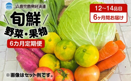 【JA直売所セレクト】6ヵ月定期便！旬鮮野菜・果物セット（12～14品目） K072-T01