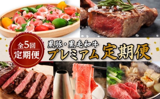 【全5回定期便】黒豚・黒毛和牛プレミアム定期便 K086-T13