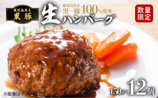 鹿児島県産黒豚生ハンバーグ150gｘ12個 K086-017