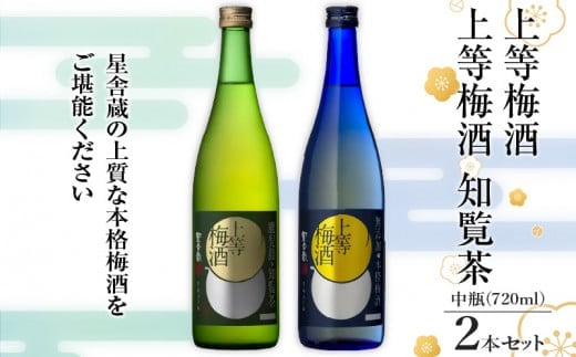 上等梅酒・上等梅酒 知覧茶 中瓶 2本セット K204-003