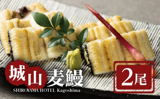 SHIROYAMA HOTEL kagoshima 城山麦鰻 K096-007