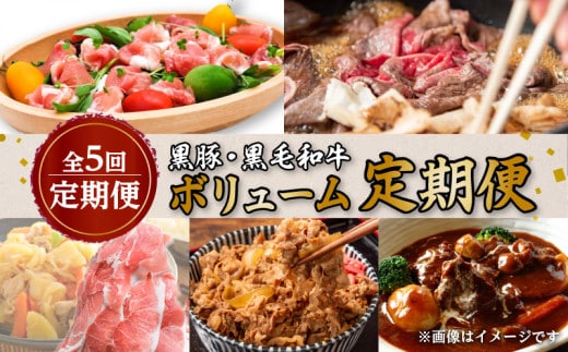 【全5回定期便】黒豚・黒毛和牛ボリューム定期便（1～5月便） K086-T24