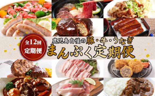 【全12回定期便】鹿児島自慢の豚・牛・うなぎ「まんぷく定期便」 K086-T10