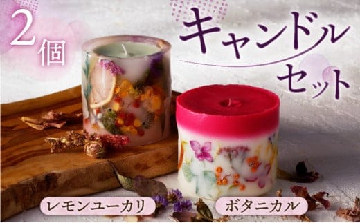 キャンドル2個セット（レモンユーカリ・ボタニカル） K248-003