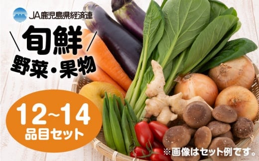 【JA直売所セレクト】旬鮮野菜・果物セット（12～14品目） K072-001