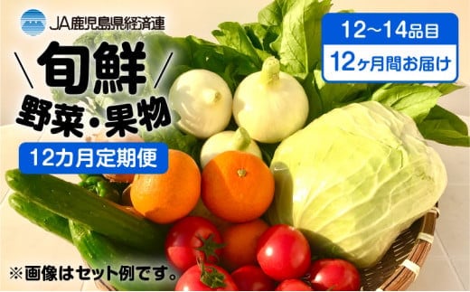 【JA直売所セレクト】12ヵ月定期便！旬鮮野菜・果物セット（12～14品目） K072-T02