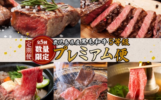 【全5回・数量限定】鹿児島県産黒毛和牛5等級「プレミアム便」 K086-T05