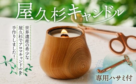 屋久杉キャンドル（専用ハサミ付） K248-001