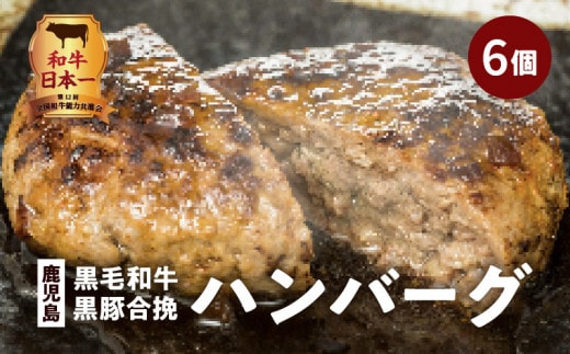 鹿児島黒毛和牛×鹿児島黒豚合挽ハンバーグ（湯煎タイプ・ソース入り）6個 K130-007