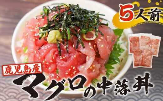 鹿児島産マグロの中落丼 5人前 K100-004
