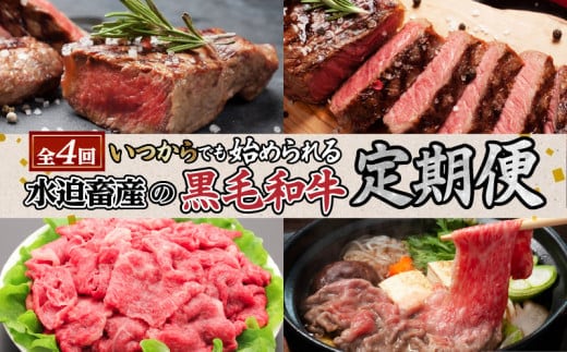 【全4回】水迫畜産の黒毛和牛定期便〈いつからでも始められる〉 K086-T15