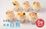 天文館むじゃき　本家白熊6個セット　K009-001