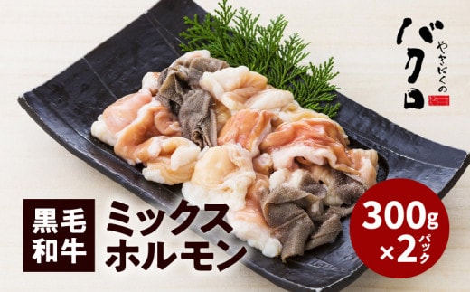 黒毛和牛ミックスホルモン300g入り×2パック K130-003