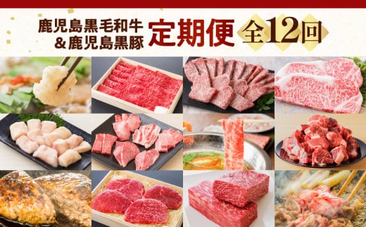 【全12回】鹿児島黒毛和牛＆鹿児島黒豚定期便 K130-T01